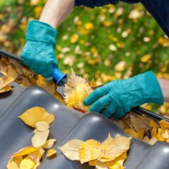 gutter cleaning frankston