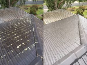 Roof Restoration Glen Waverley