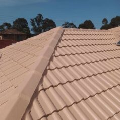 roof painting pale terracotta