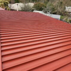 roof painting Red